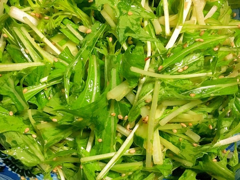 超簡単!ごま油香る♪水菜とキュウリのサラダ